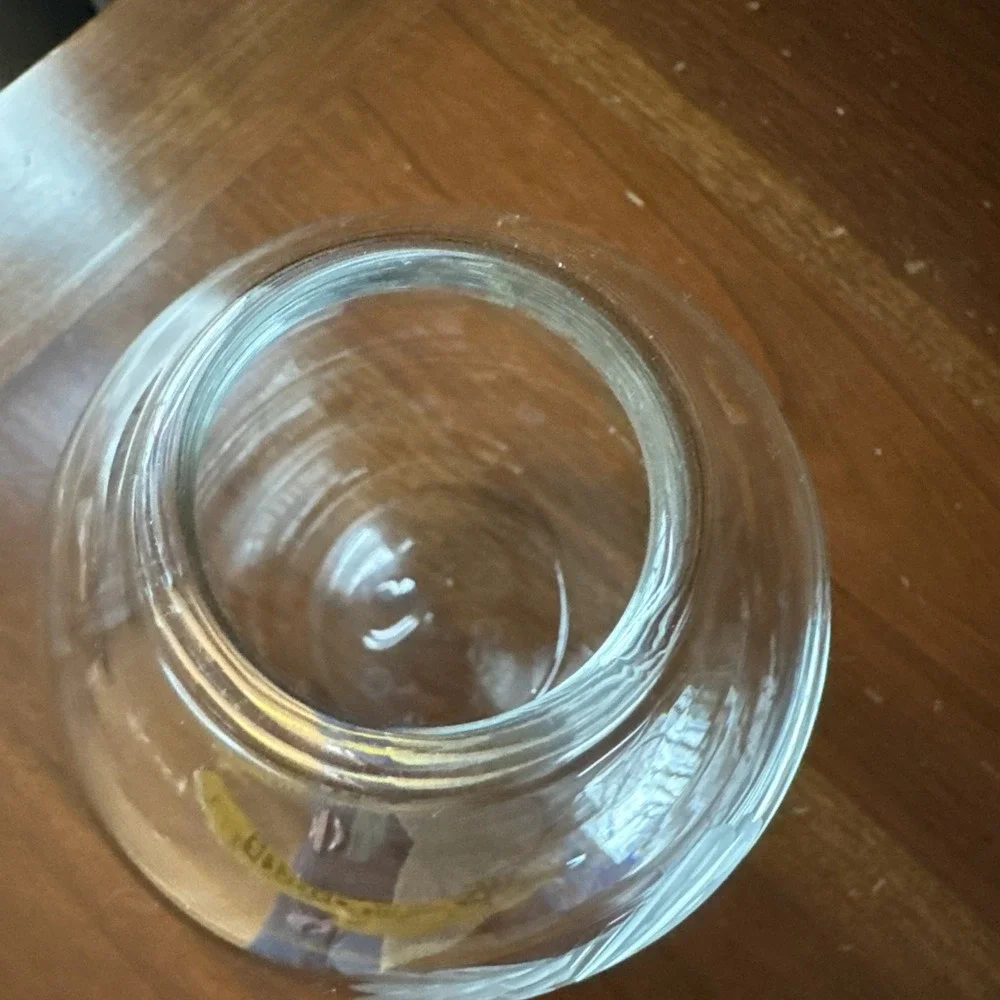 KROSNO Poland Clear Crystal Glass Vase‎ Etched DRAGONFLY for Crate & Barrel 4